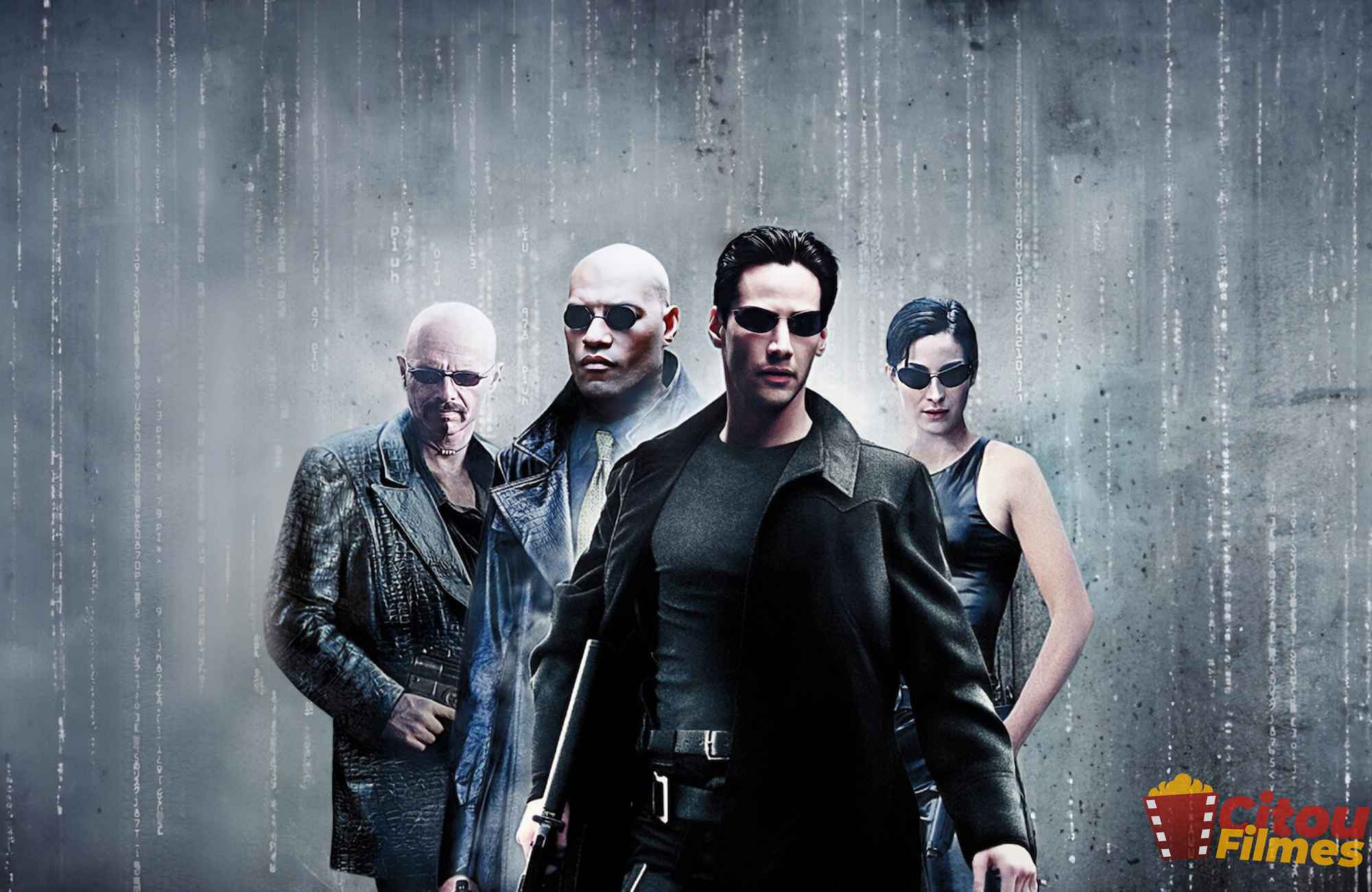 10 filmes dirigidos por mulheres os melhores com suas descrições!