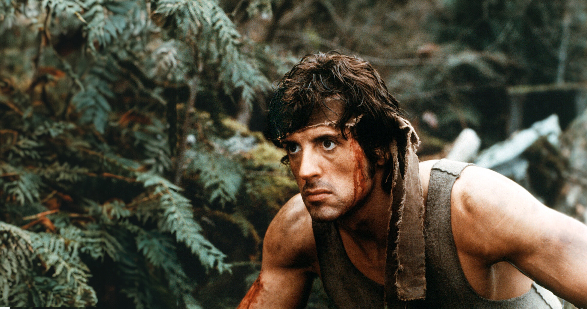Rambo: Trauma, Redenção e Cultura Pop